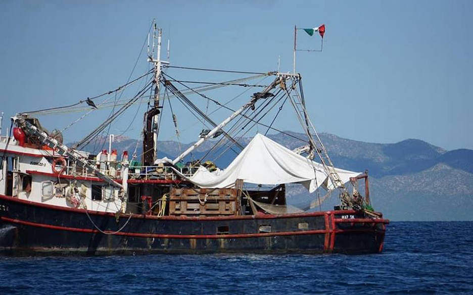Hundir contenedores de carga y barcos camaroneros para crear arrecifes artificiales en el Mar de Cortés
