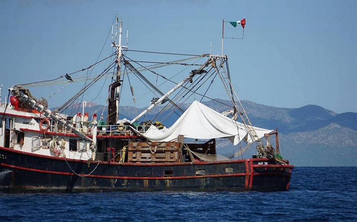Hundir contenedores de carga y barcos camaroneros para crear arrecifes artificiales en el Mar de Cortés