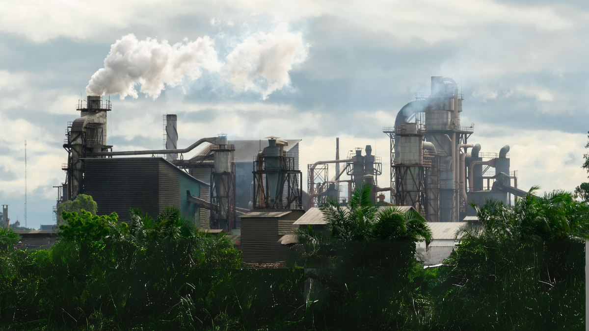 El Compromiso con la Neutralidad de Carbono