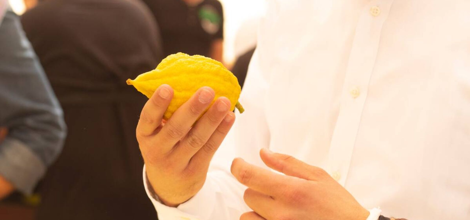 ¿El Etrog, Verdad o Mito?