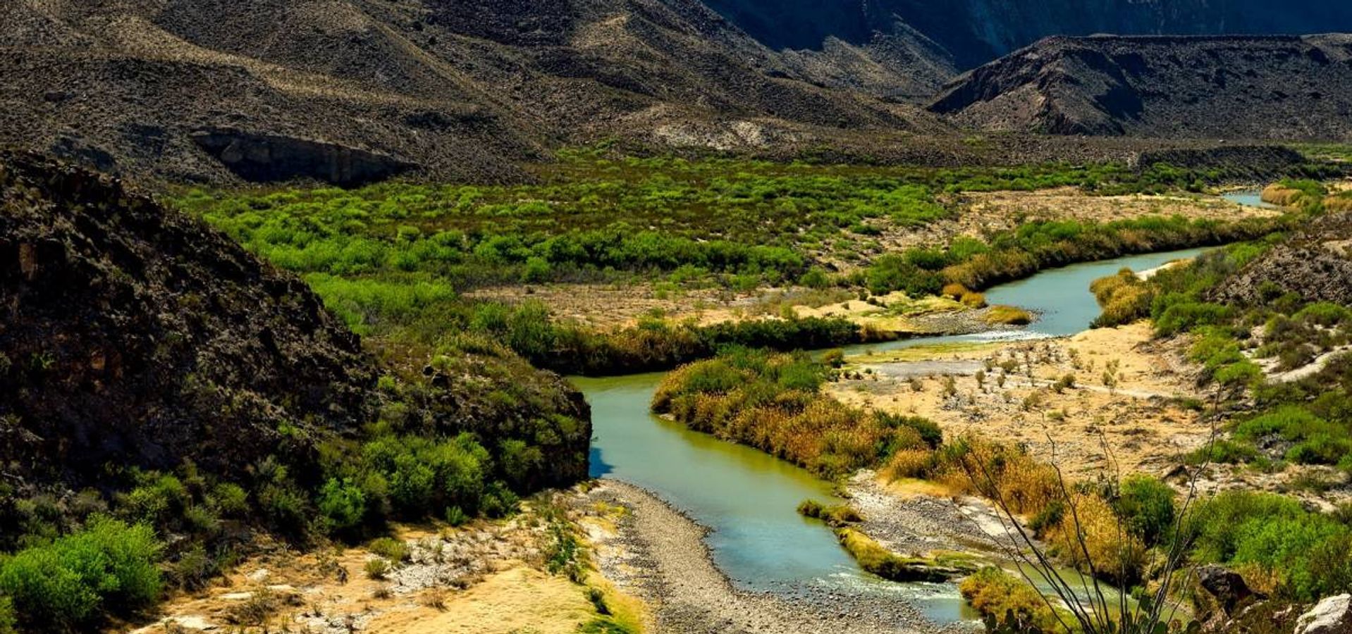 Somos Contracorriente