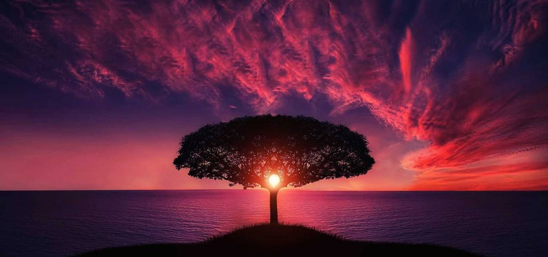 El Peso de la Gloria