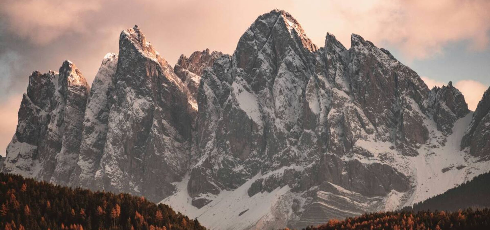 El Shofar y el Sonido Profético