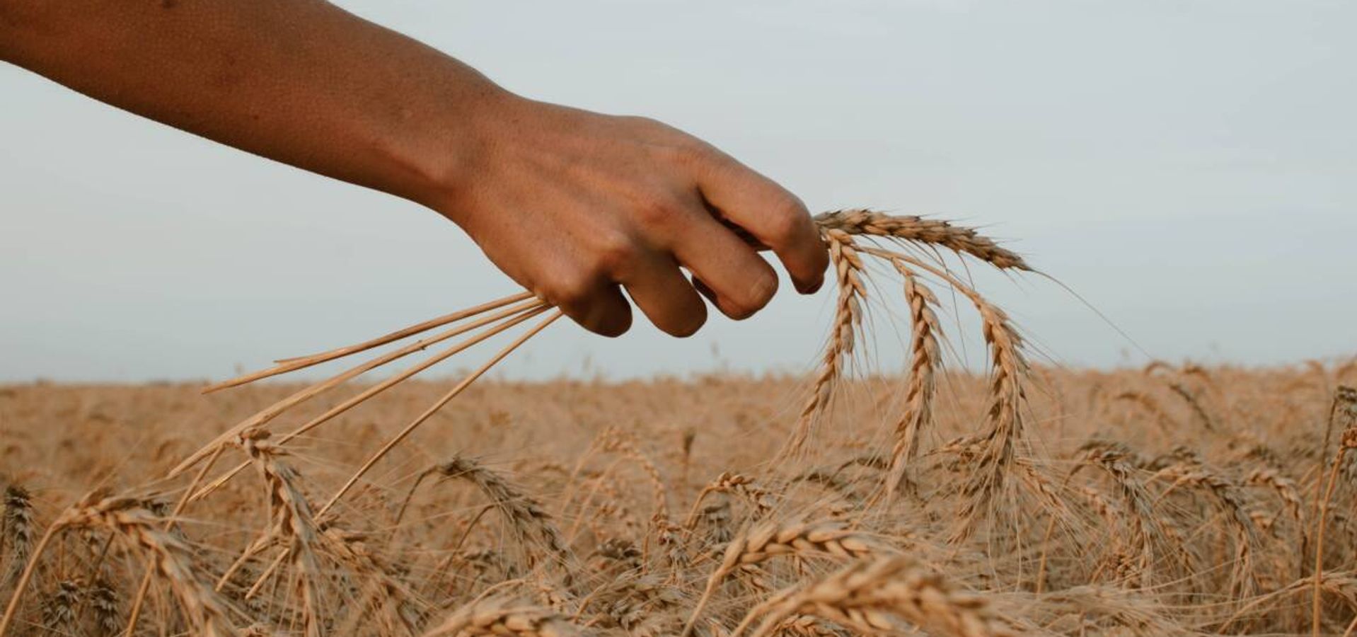 ¿Qué es la Diáspora de la que habla la Biblia?