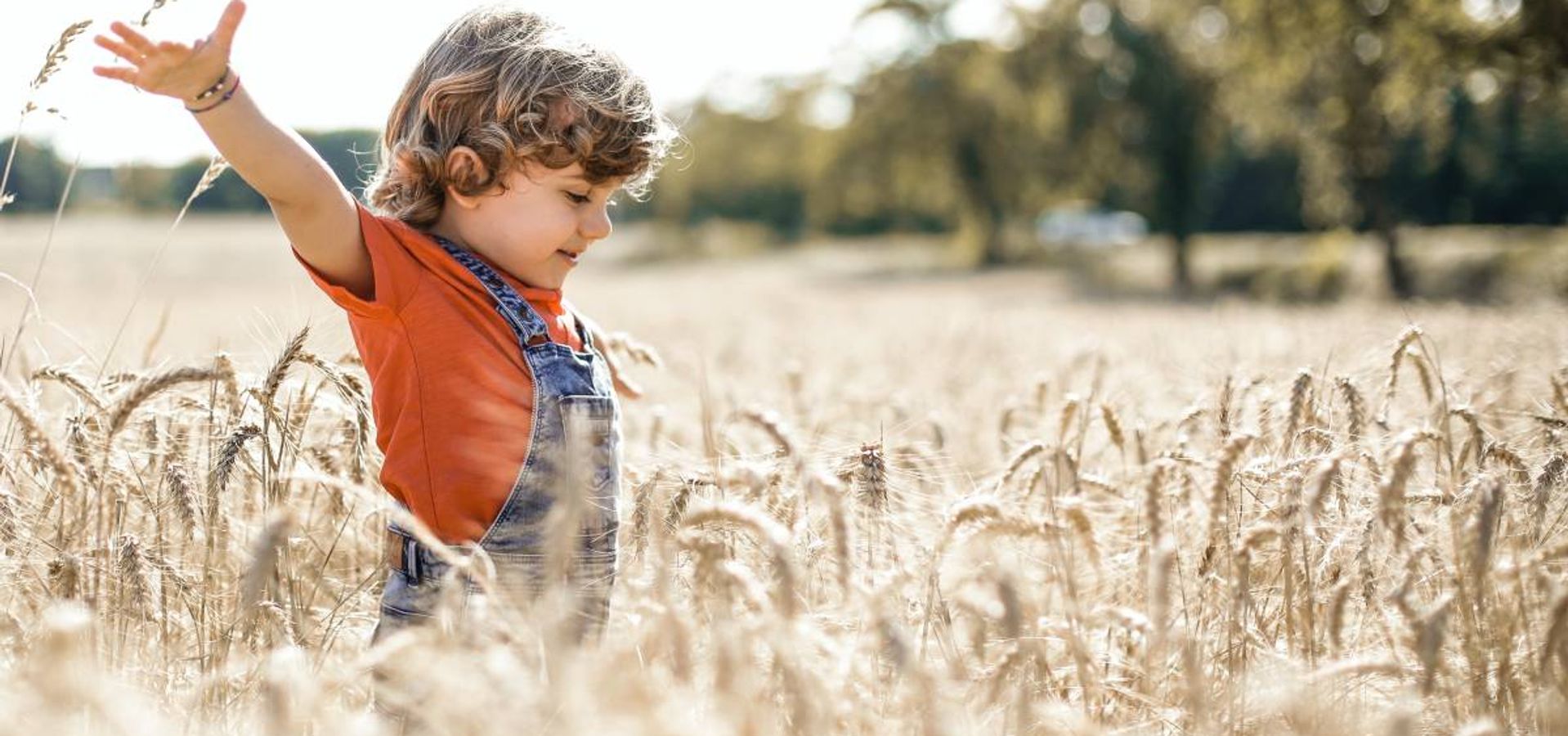 ¿Cuál es el significado Espiritual de la palabra Ómer?