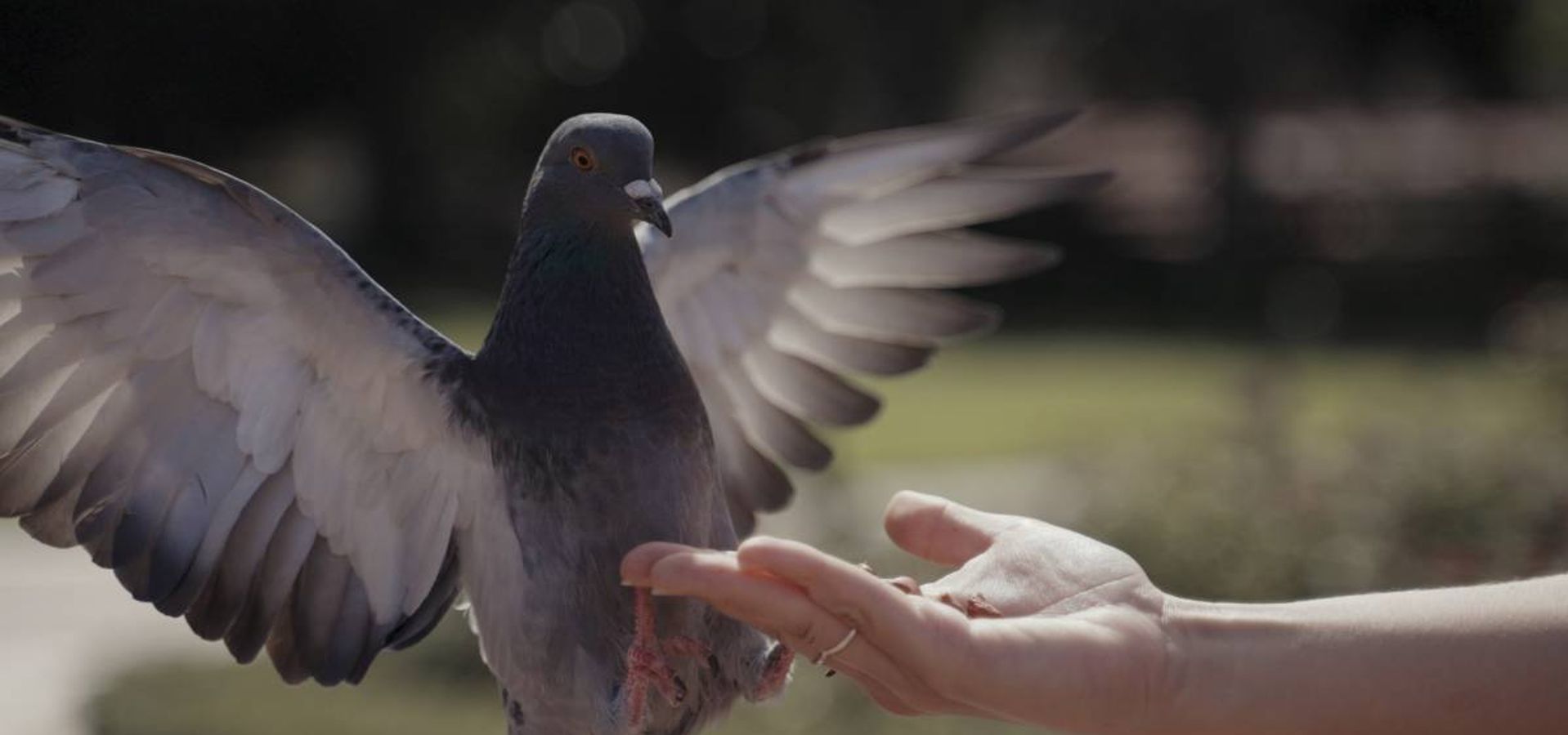 ¿Qué es el Antiguo Pacto y el Nuevo Pacto?