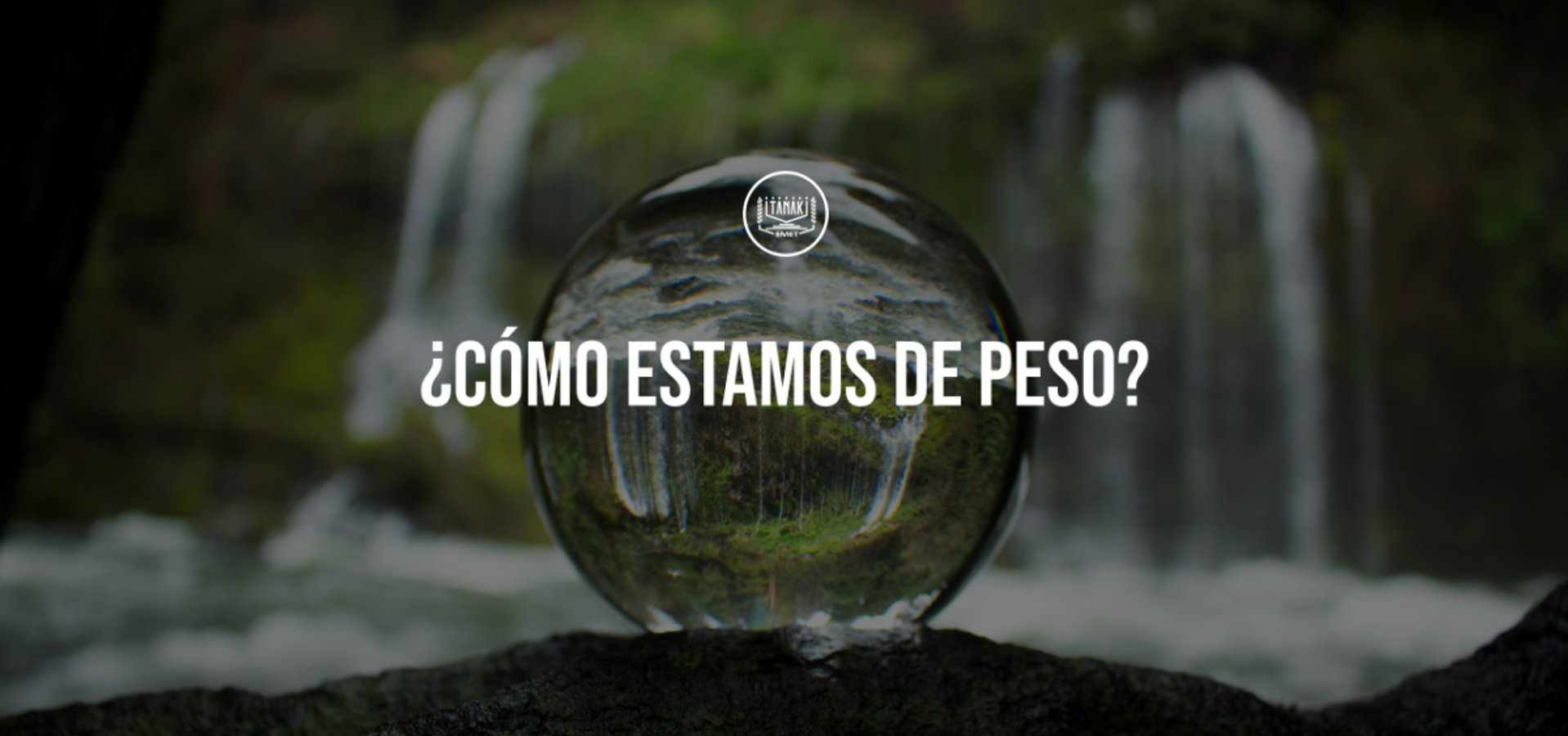 ¿Cómo estamos de peso?