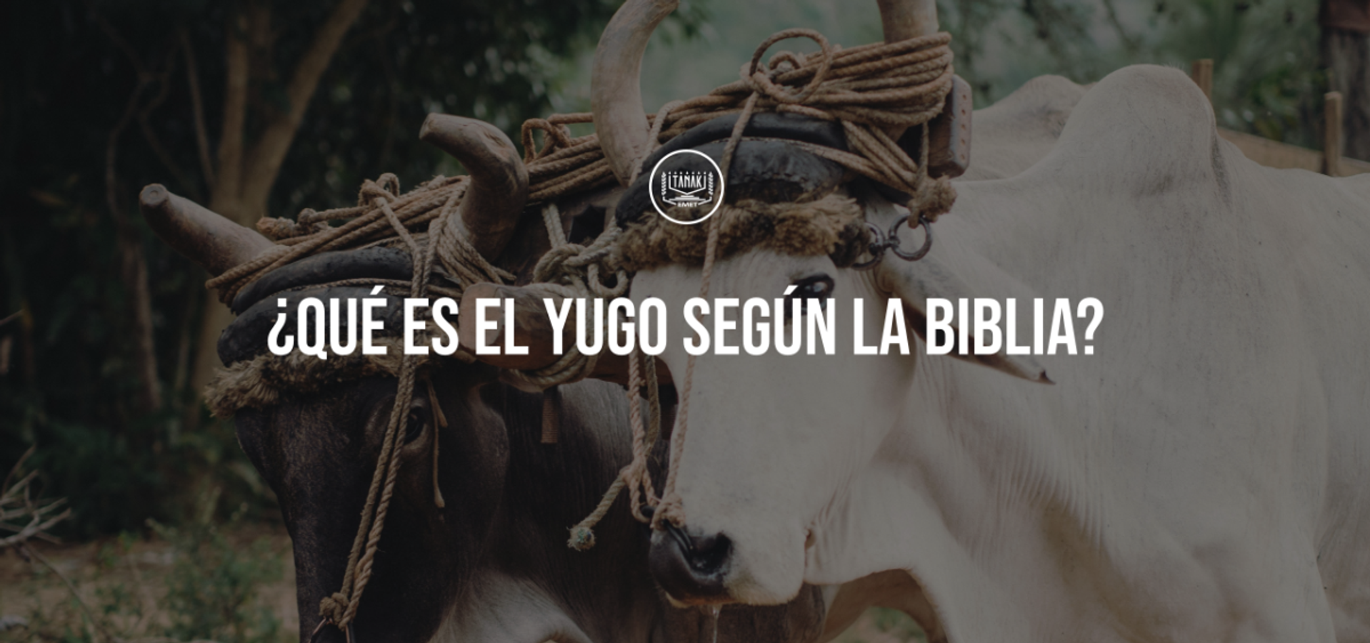 ¿Qué es el Yugo según la Biblia?