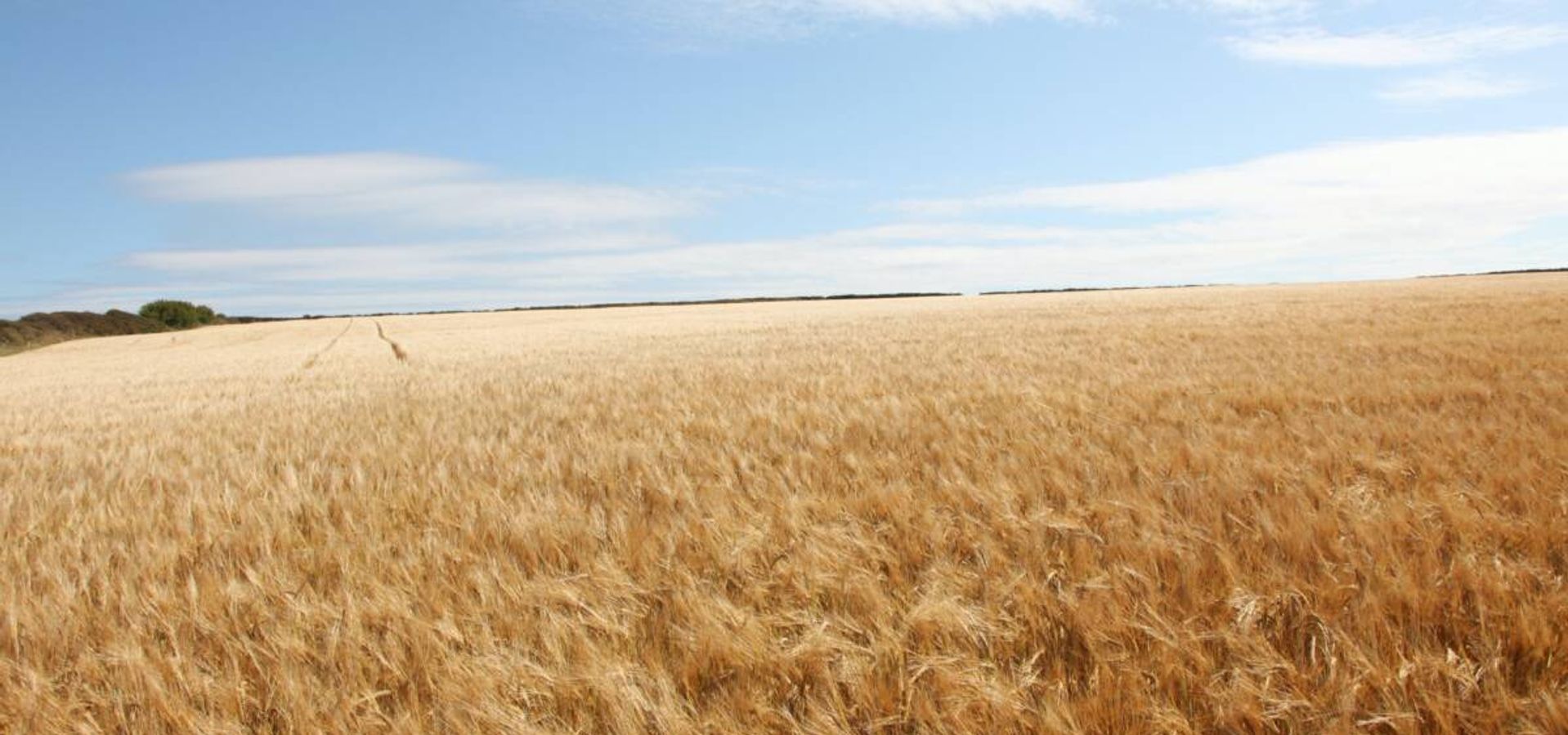 Omer Reshit es el Día de la Resurrección