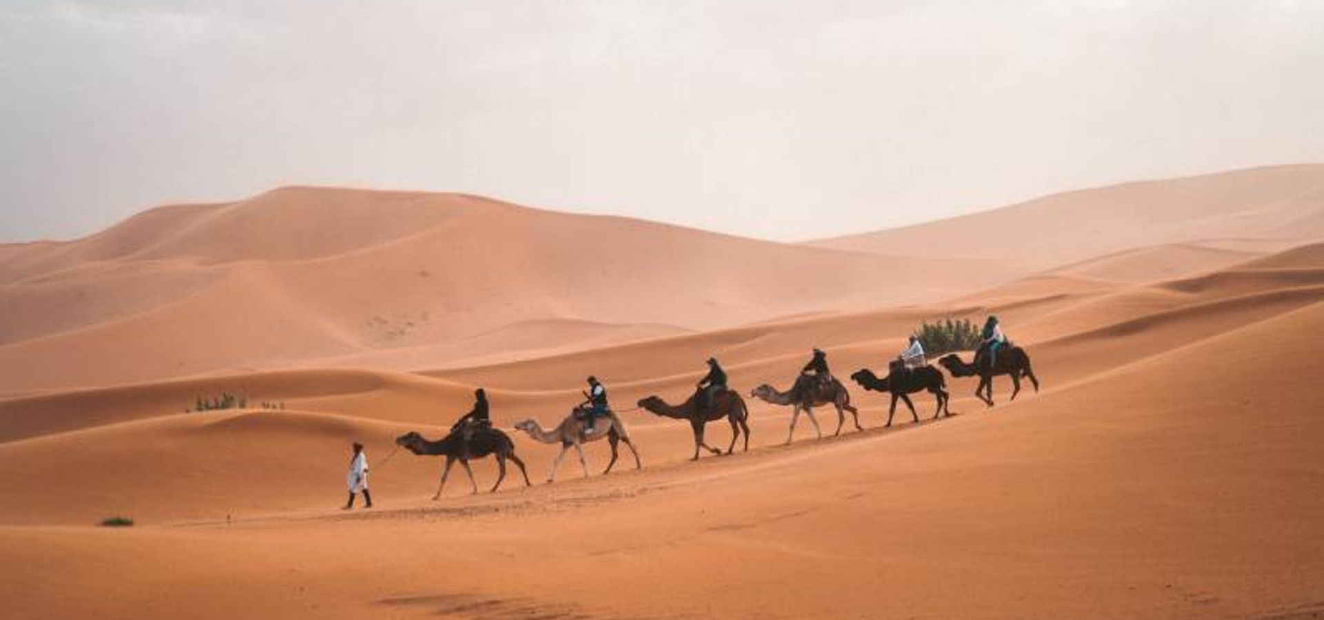 ¿Cuál es la verdad sobre los Reyes Magos?