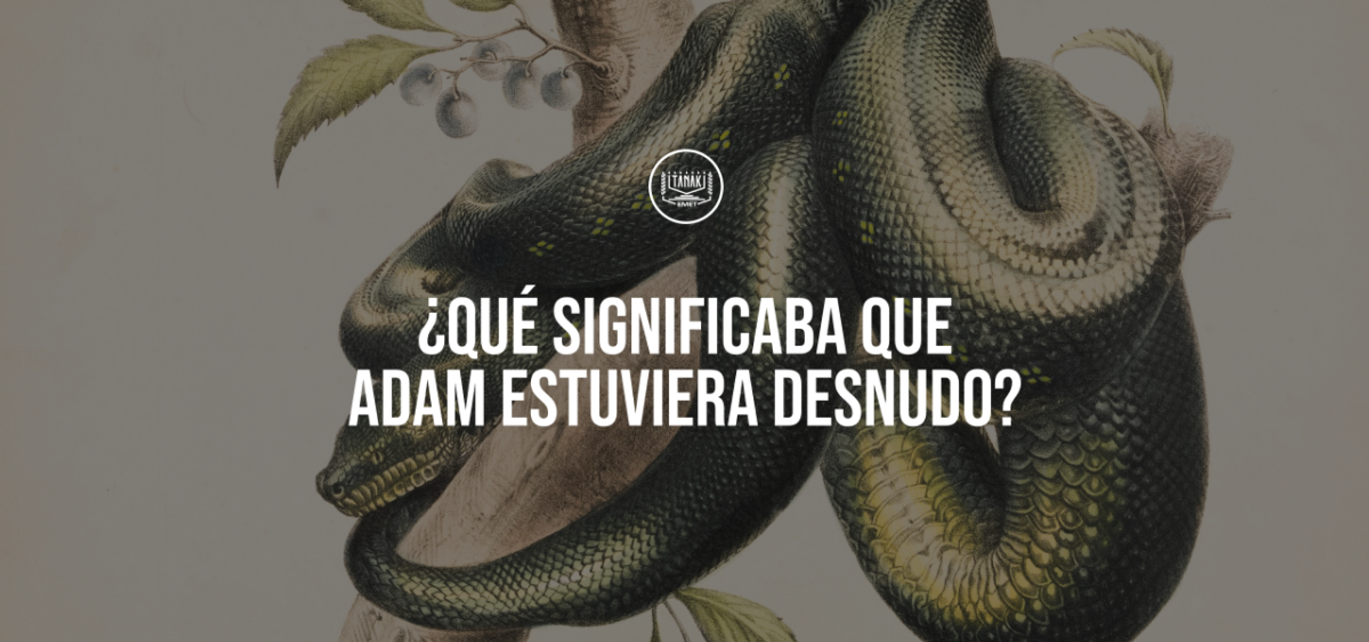 ¿Qué significaba que Adam estuviera desnudo?