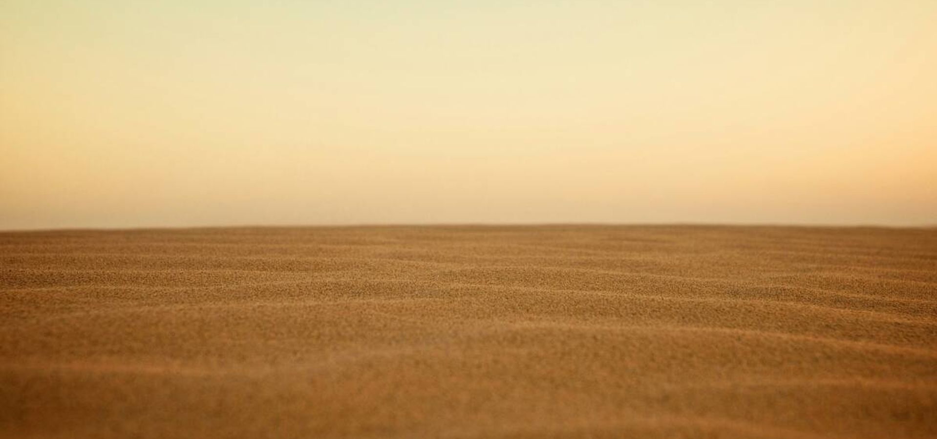 El Dueño del Shabat