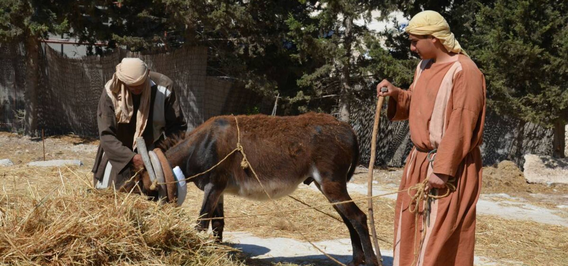 ¿Por qué debía llamársele a Yeshúa Mashíaj con el título de “Nazareno” [Notserí – Notserita – Natsareno]?