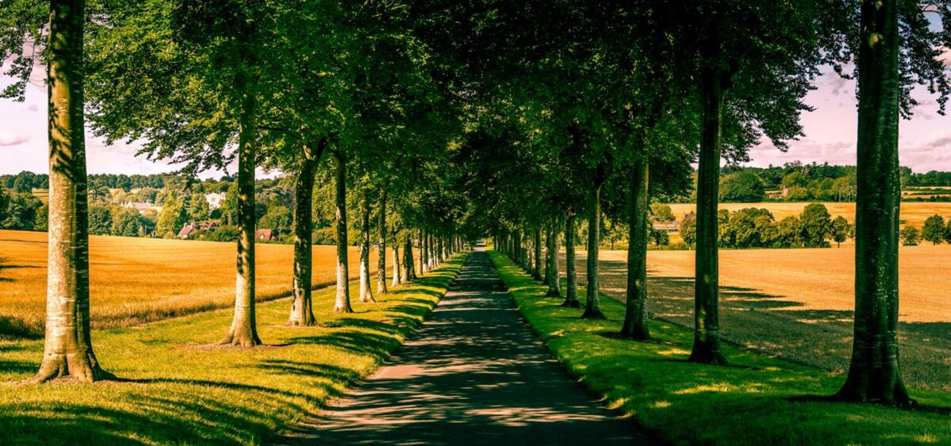 Morando Bajo la Sombra del Todopoderoso