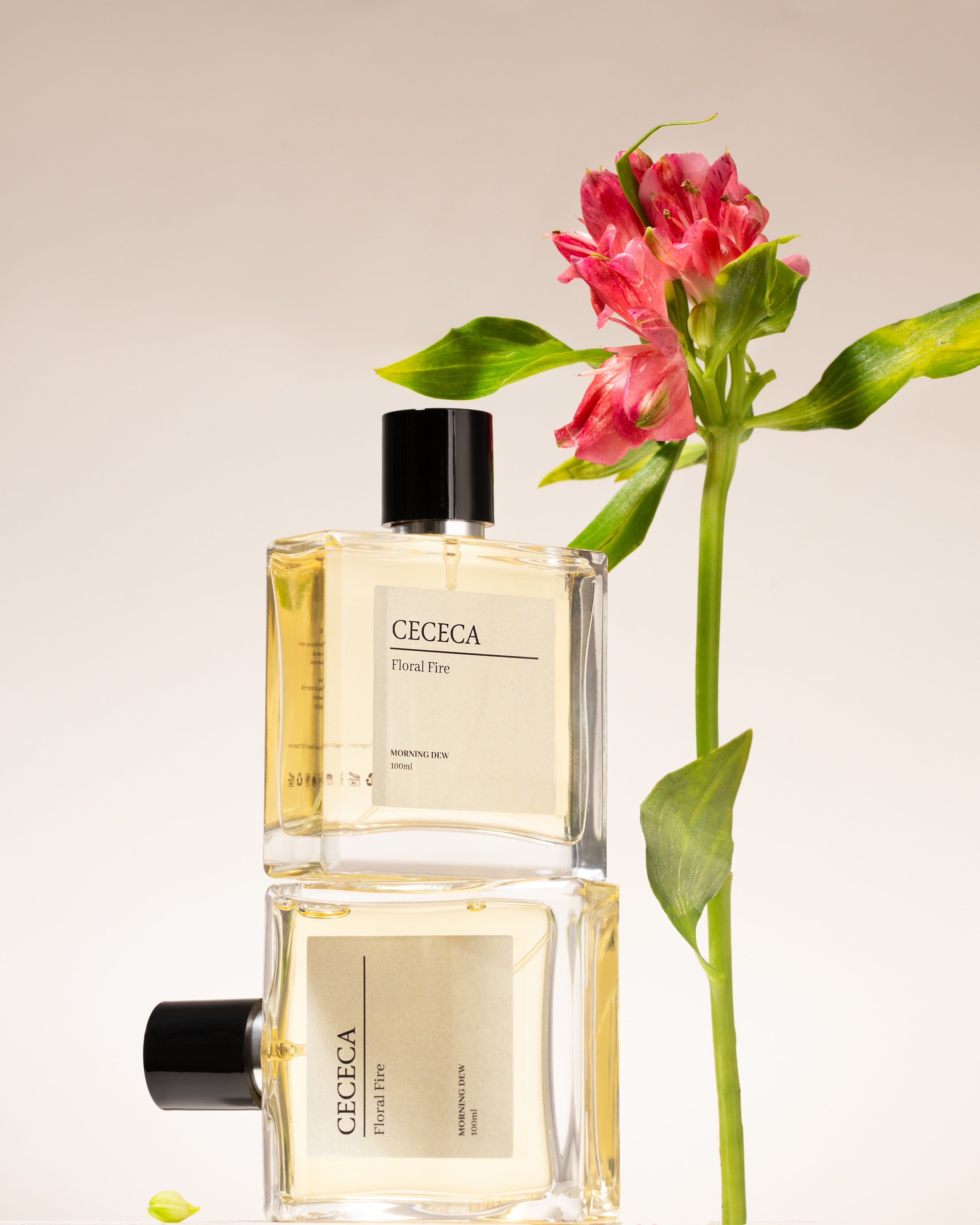 Cececa gallery 4