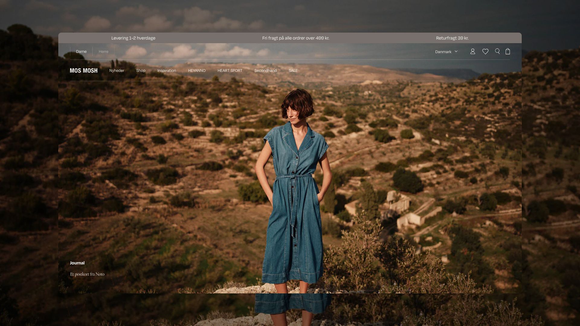 Mos Mosh desktop mockup