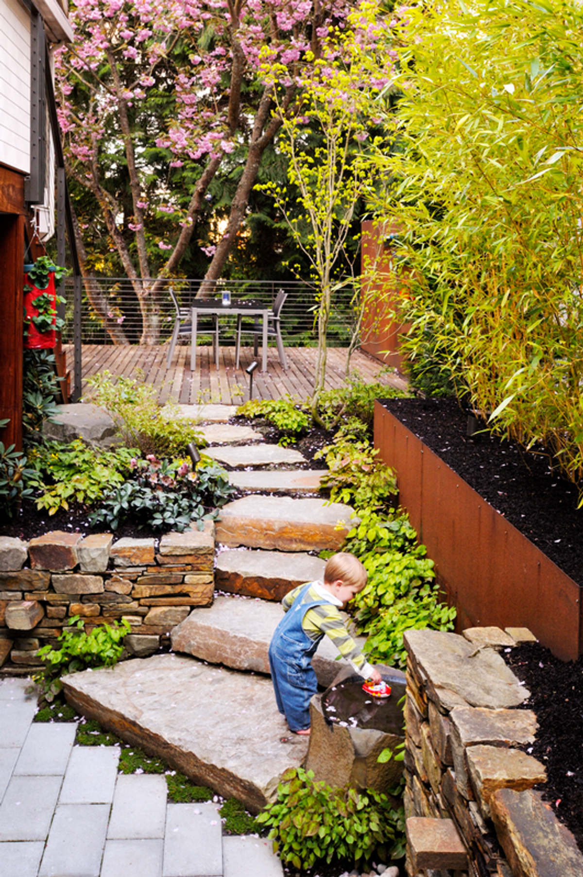 The Hidden Terrace - Gallery Image 1