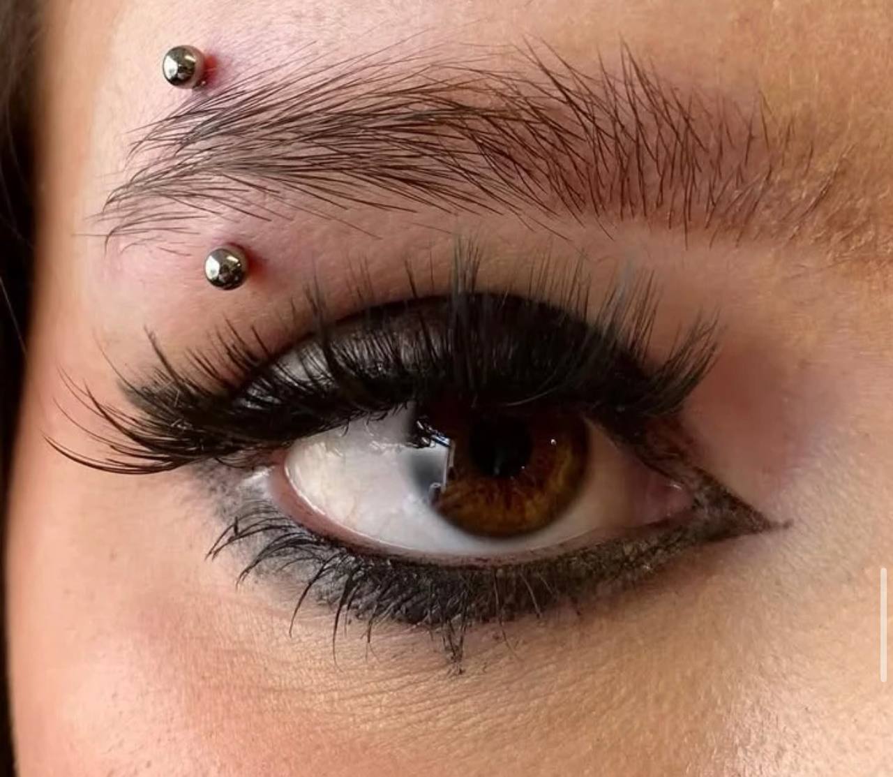 Eyebrow Curved Barbell