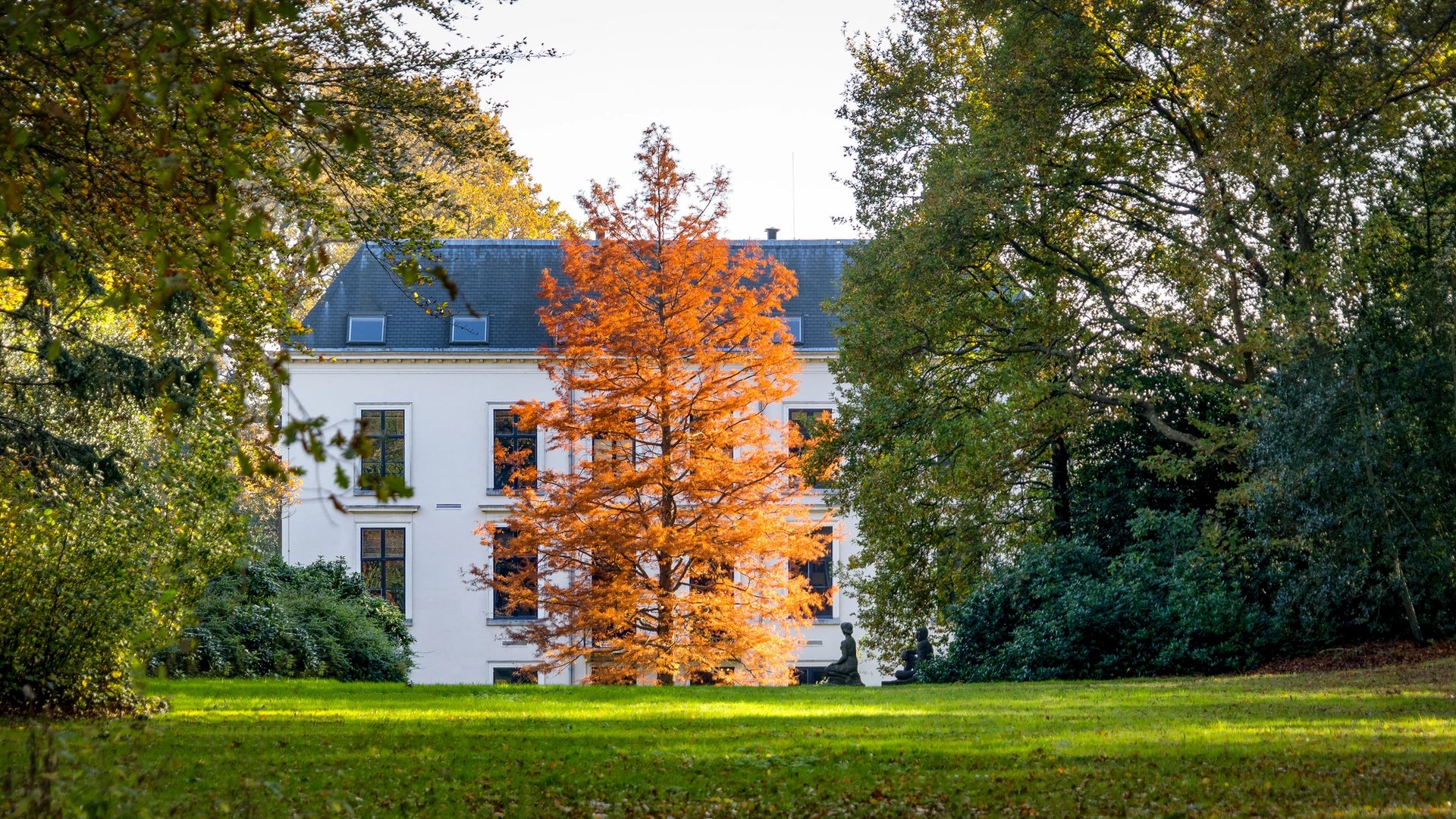 Unsere Parkplätze in Rijswijk