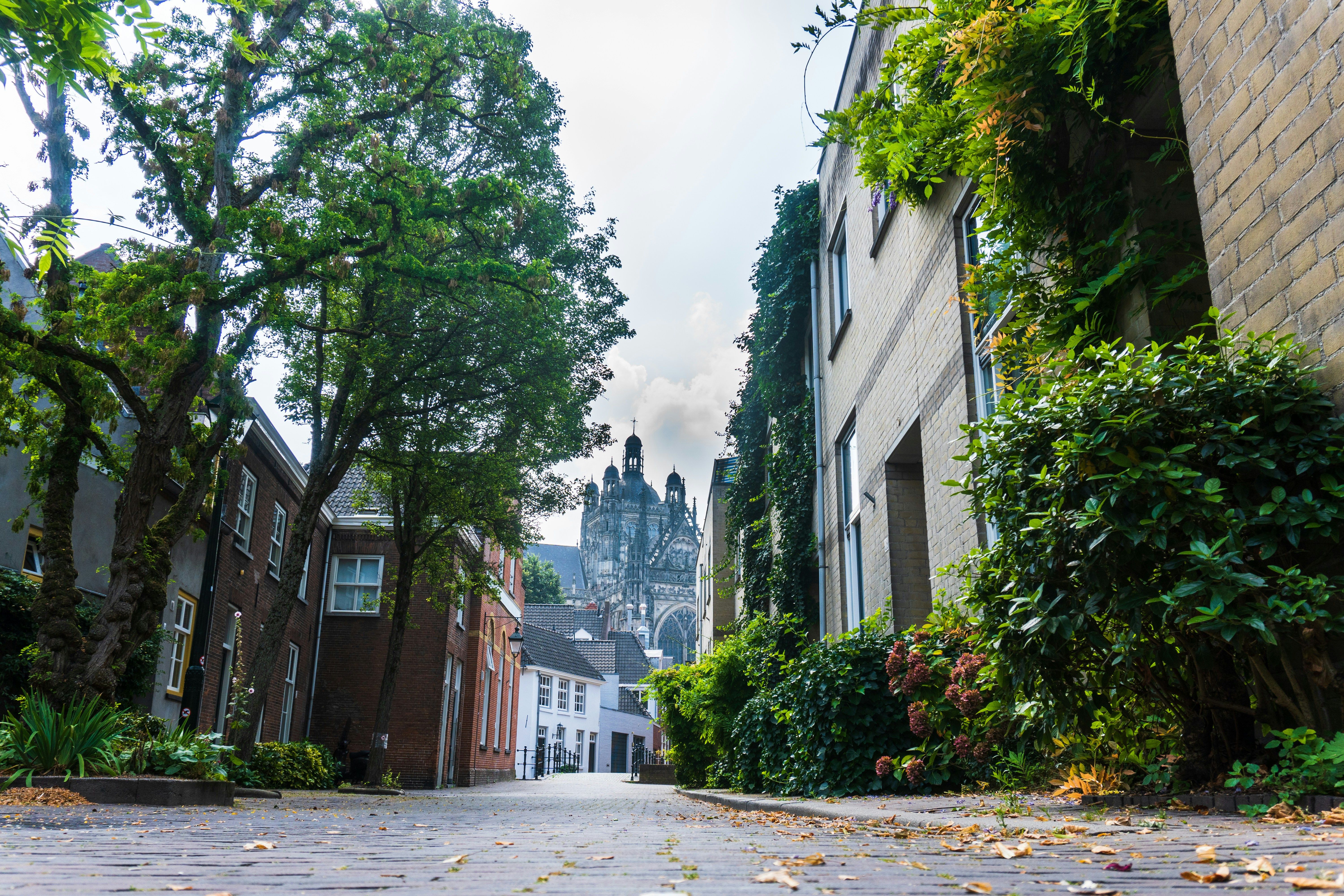 Onze parkeerlocaties in Den Bosch