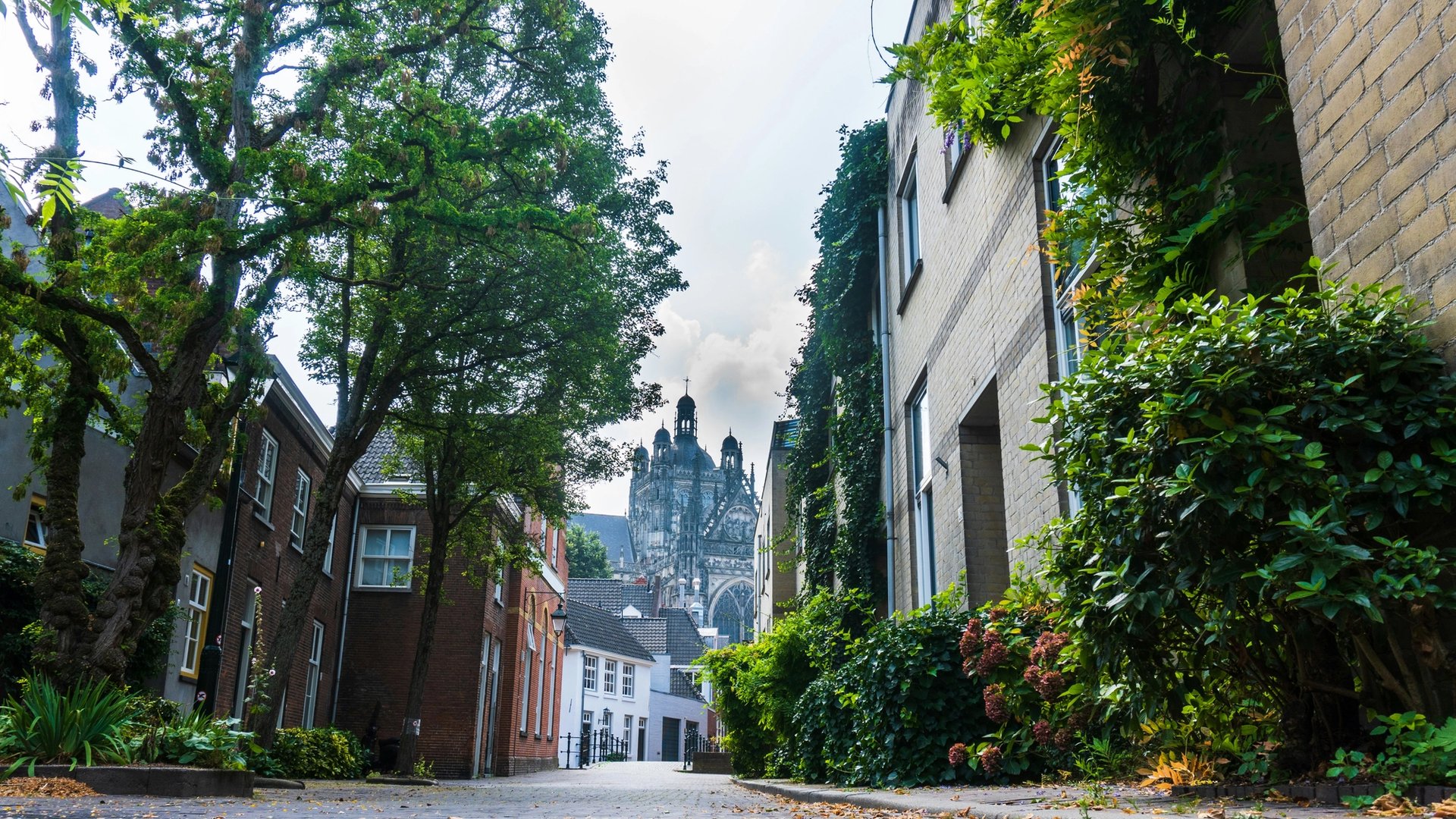 Onze parkeerlocaties in Den Bosch
