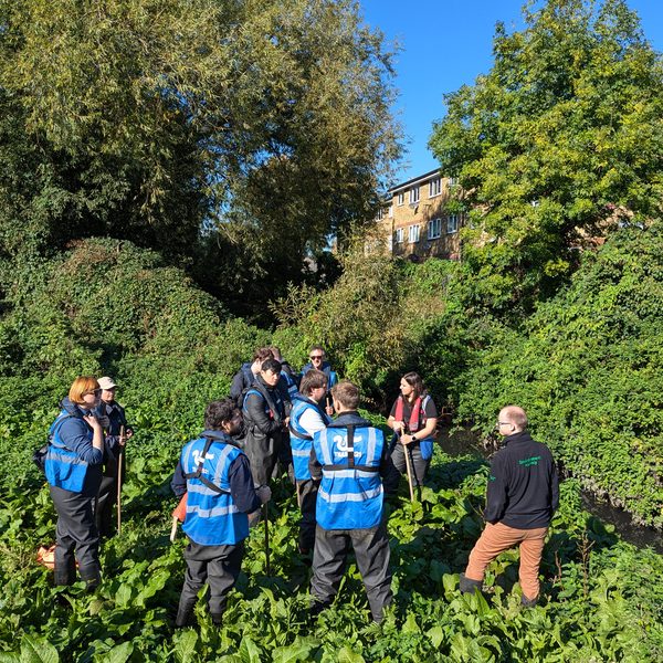 Dagenham Brook River Restoration → 5th Studio