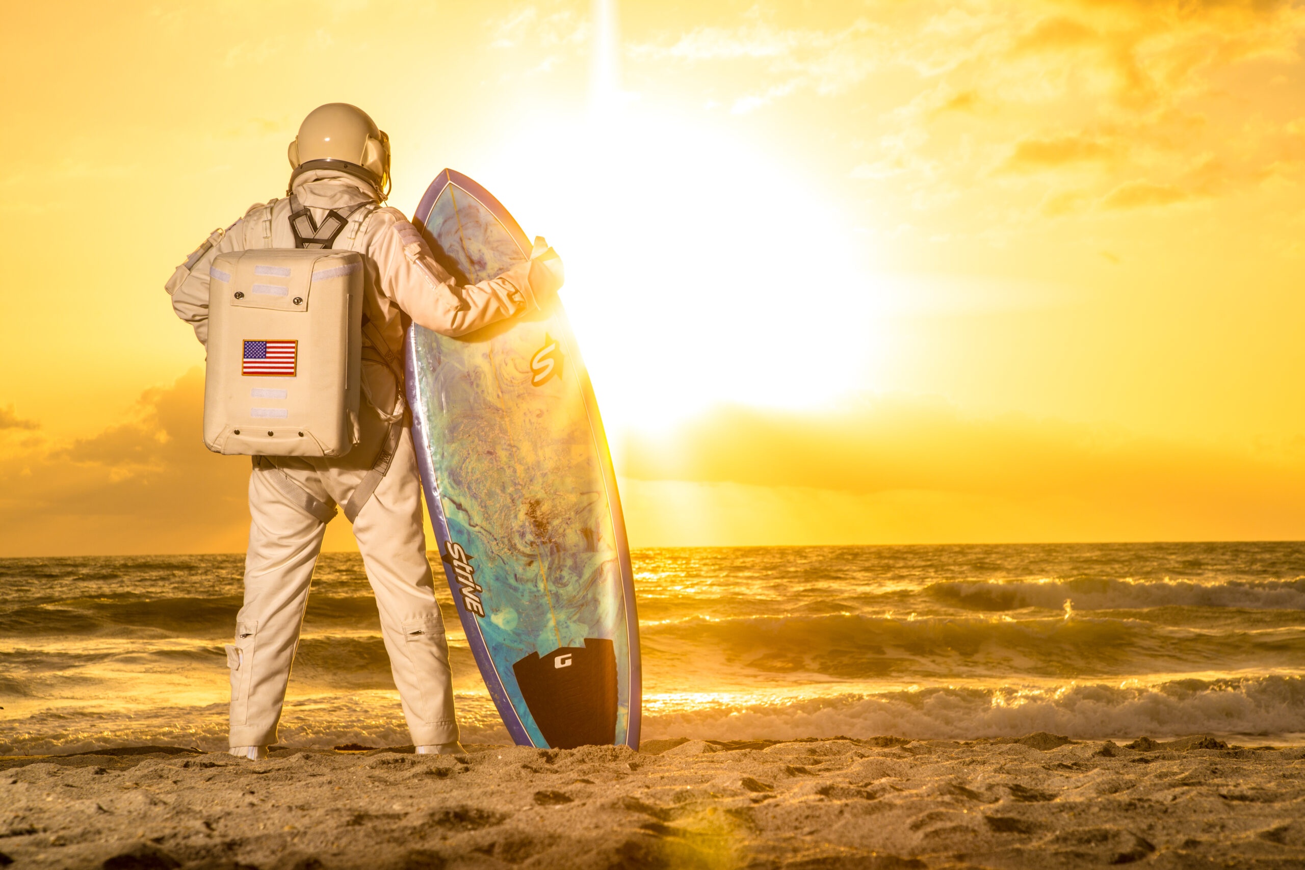 Barbara Guest hero image