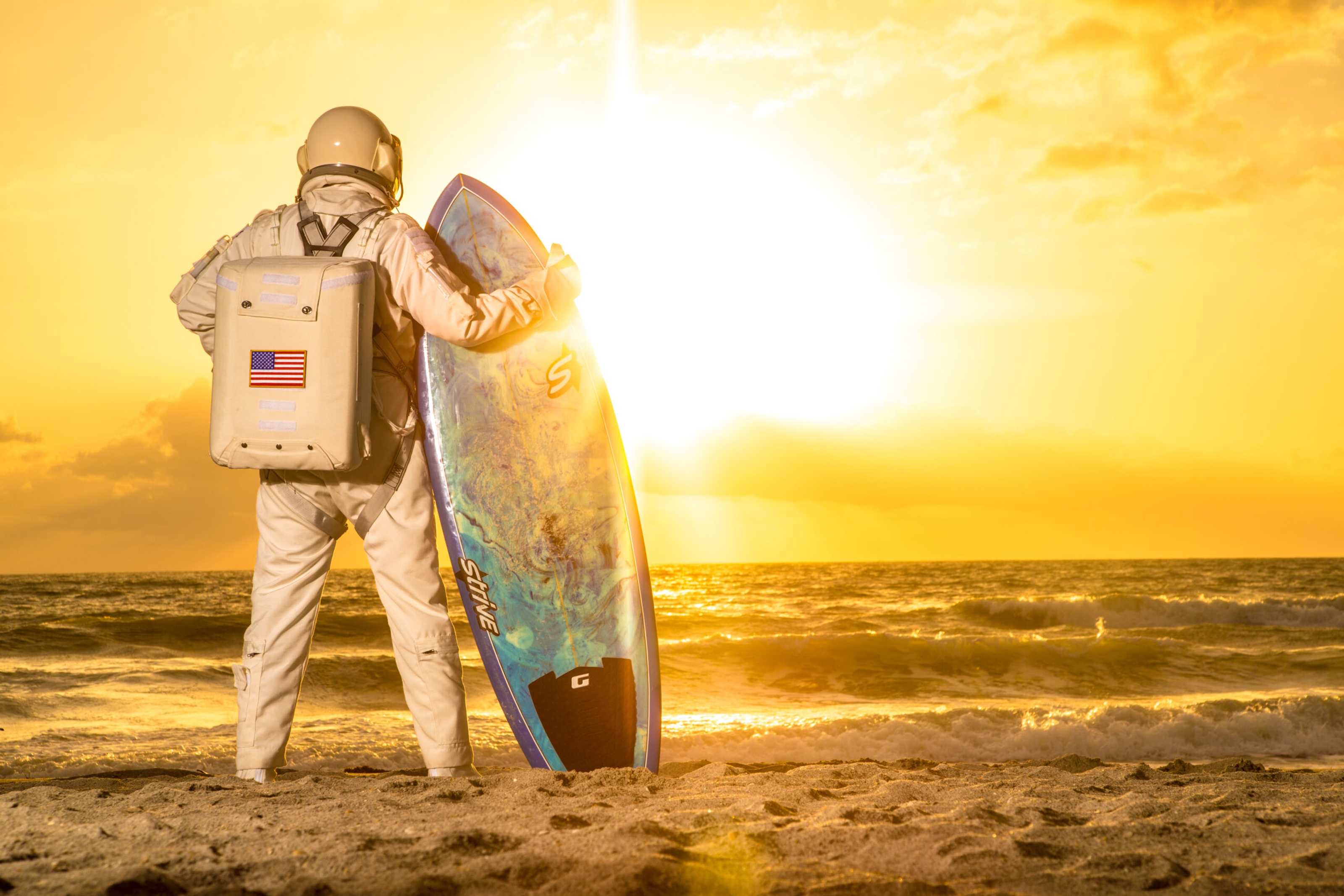 Barbara Guest hero image