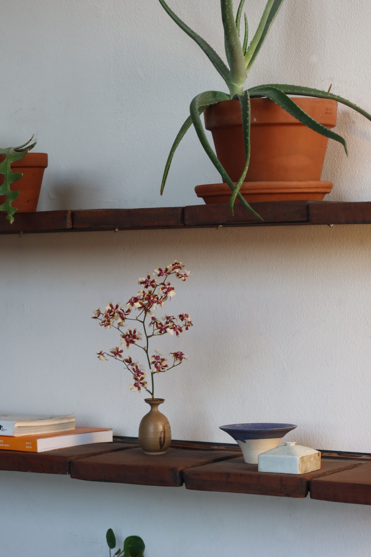 reclaimed-terracotta-shelves-2