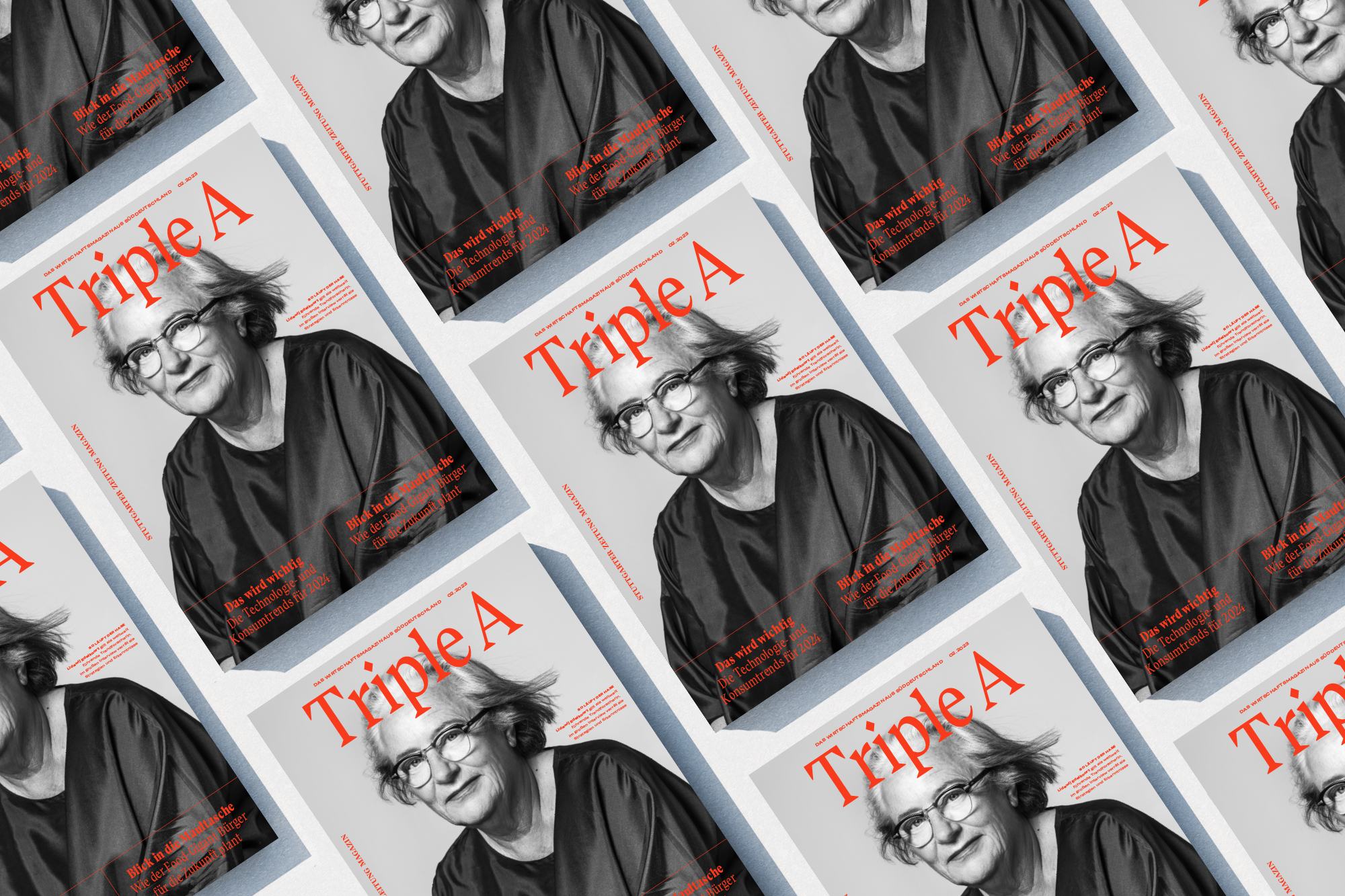 TripleA The biannual business magazine of the Stuttgarter Zeitung Cover
