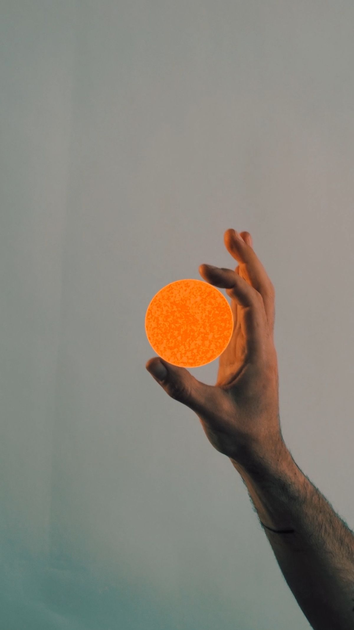 Let Us Drink The Sun
