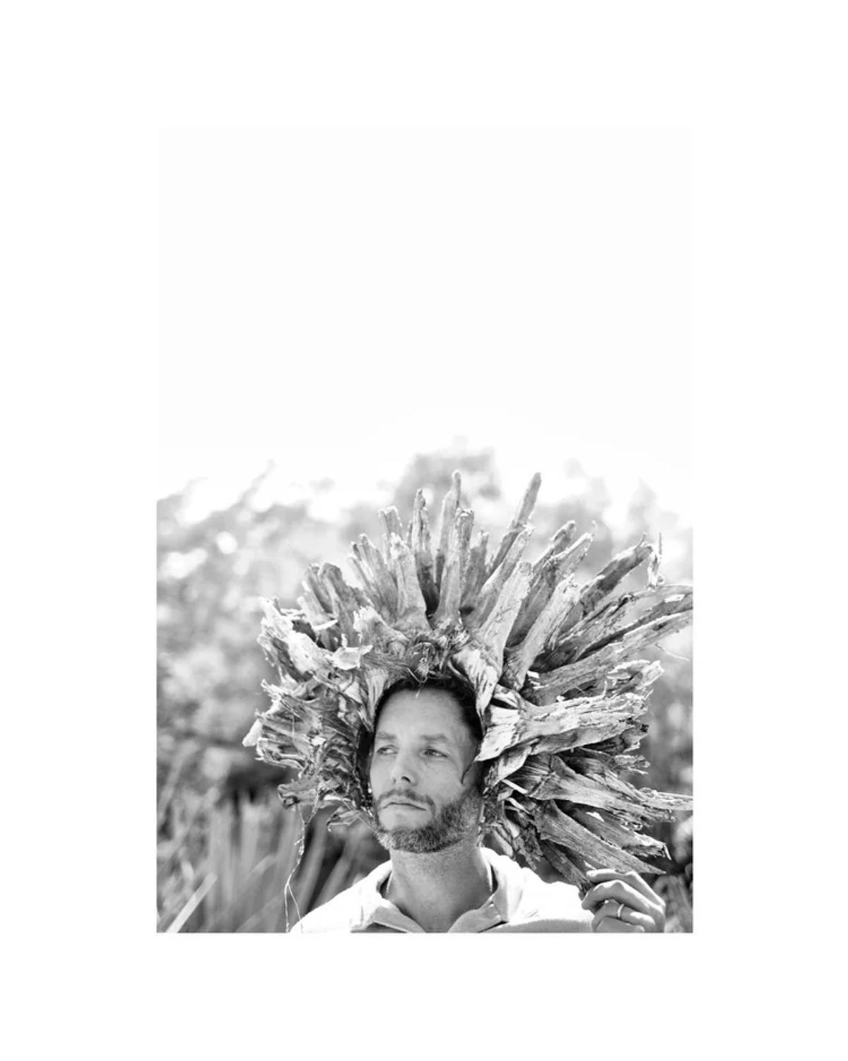 Agave Safari