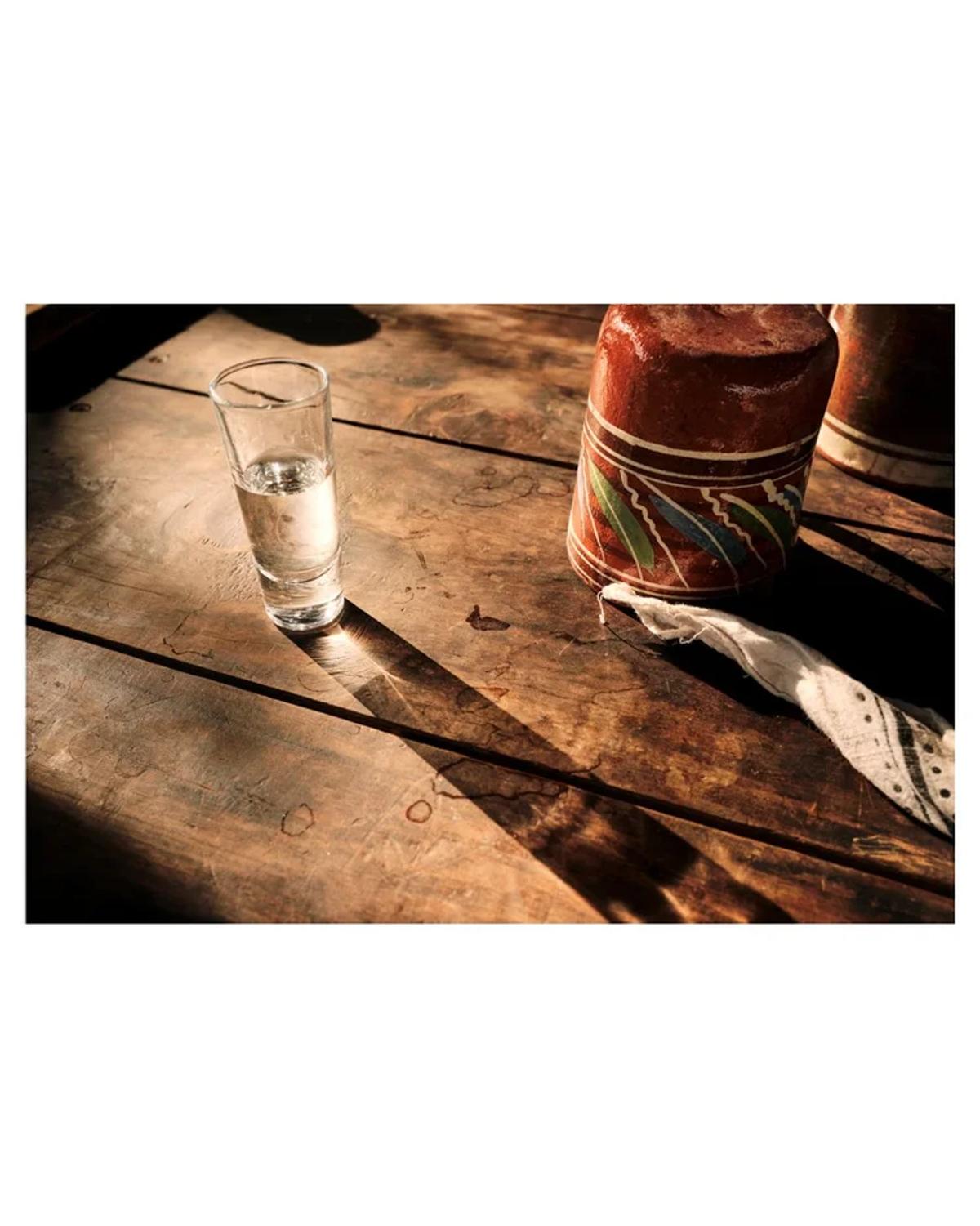 Agave Safari