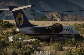 Major Aircraft Collision Prompts Major Response