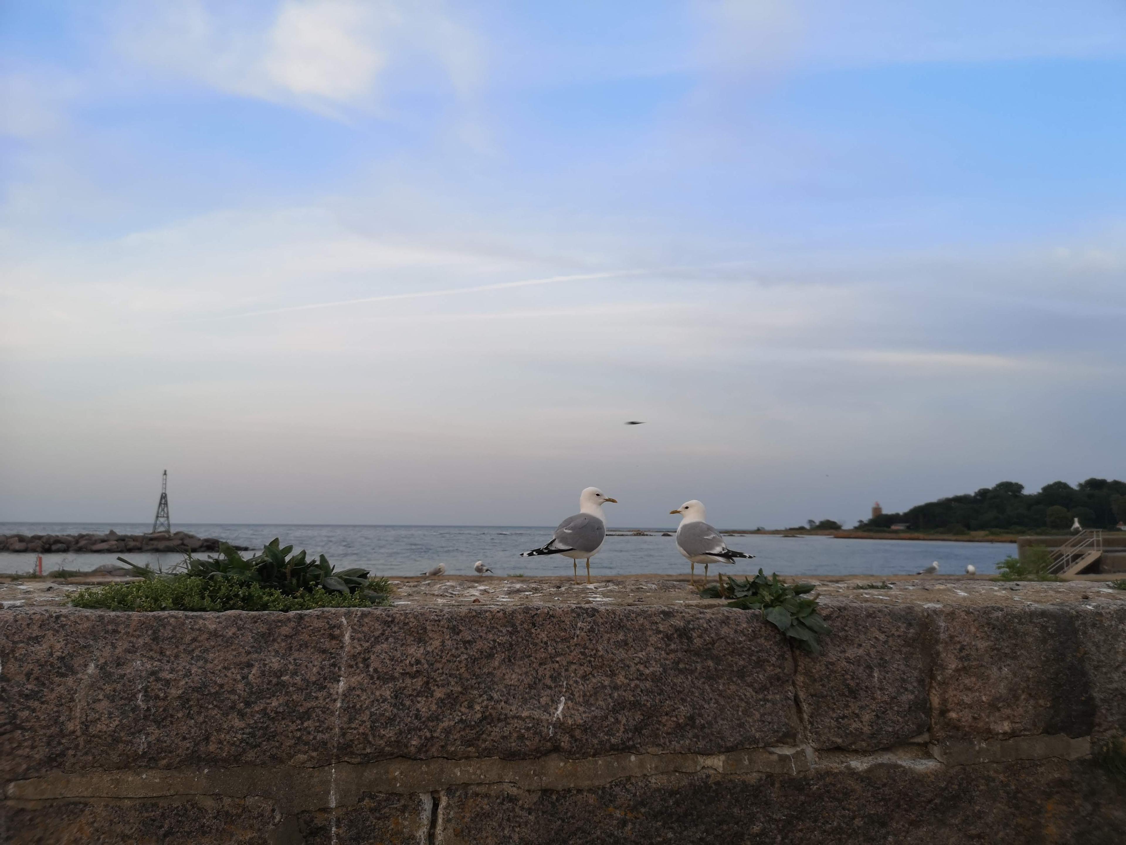 Terapi illustrativt bilde