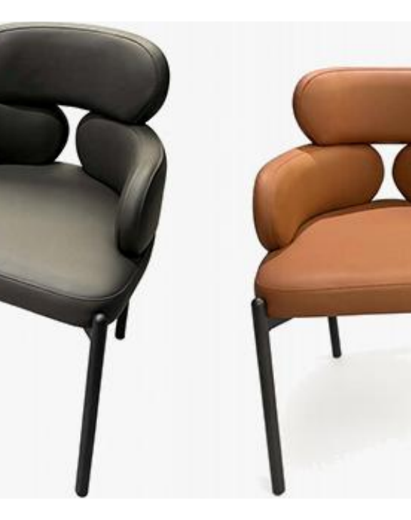Dining Chair product photo for FADIOR HOME shop