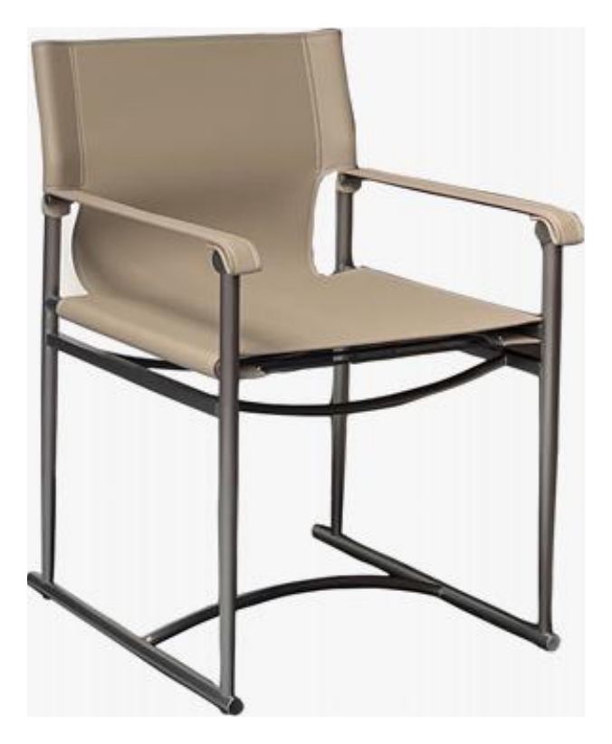 Leather-Accent Dining Chair product photo for FADIOR HOME shop