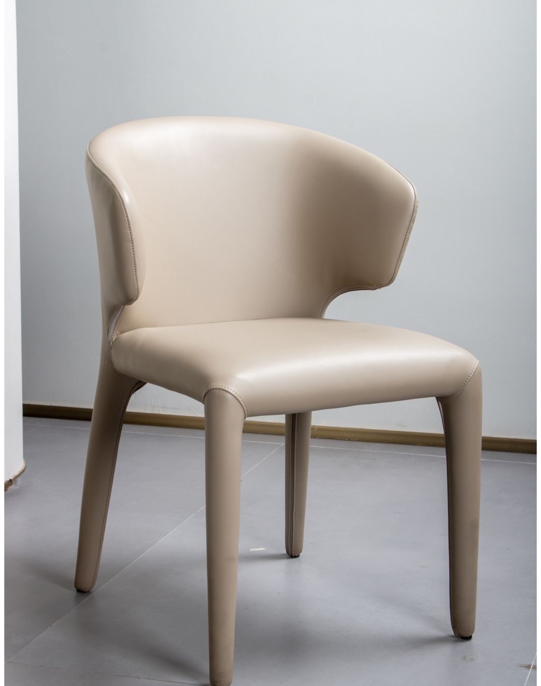 Dining Chair product photo for FADIOR HOME shop