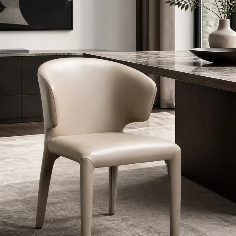 Carbon Steel Dining Chair