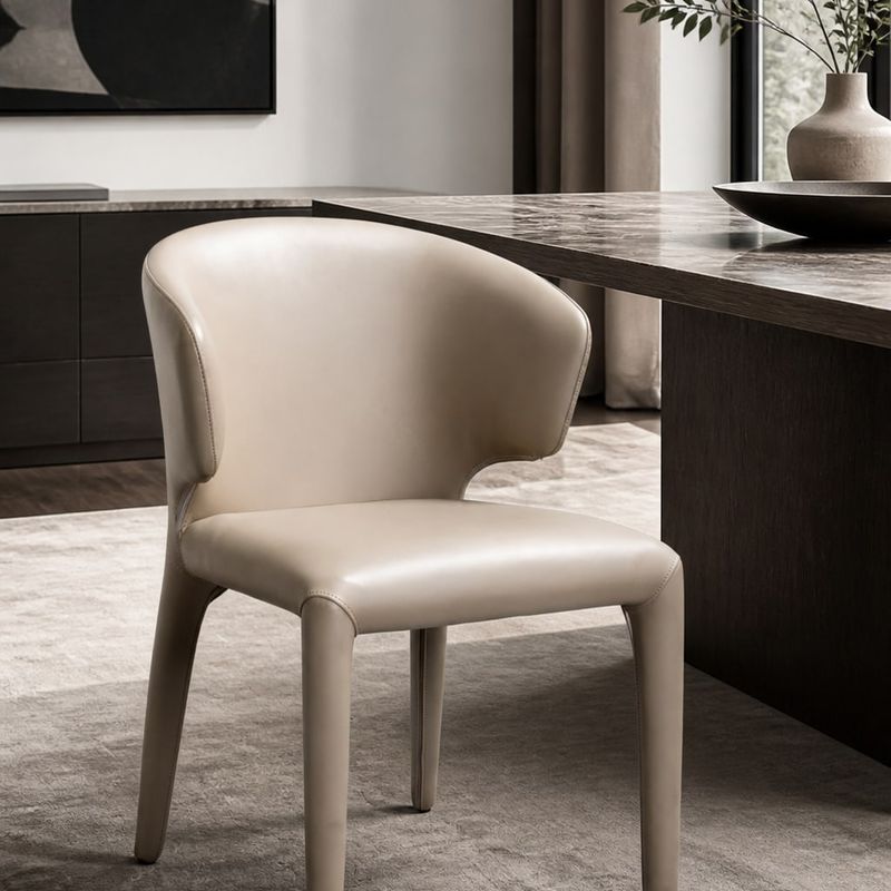 Dining Chair (Carbon steel) styled in a FADIOR HOME interior setting