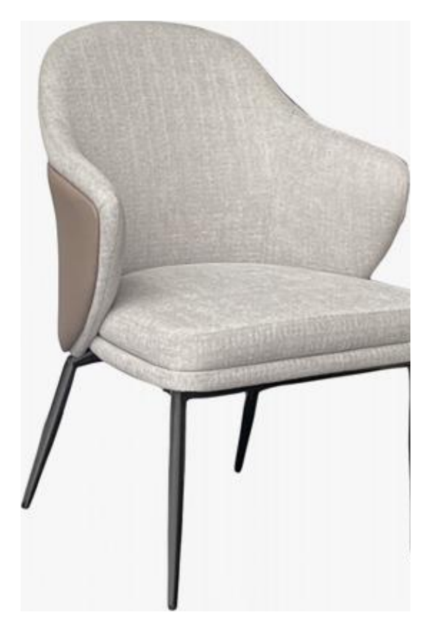 Leather-Accent Dining Chair product photo for FADIOR HOME shop