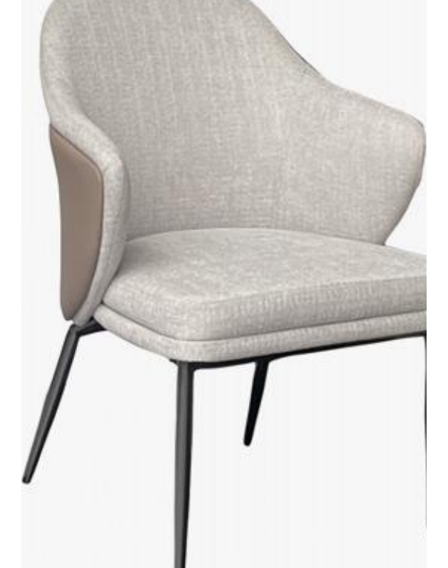 Leather-Accent Dining Chair product photo for FADIOR HOME shop