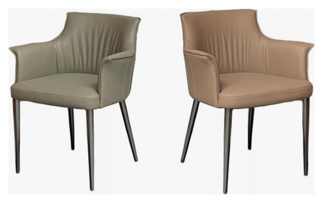 Leather-Accent Dining Chair product photo for FADIOR HOME shop