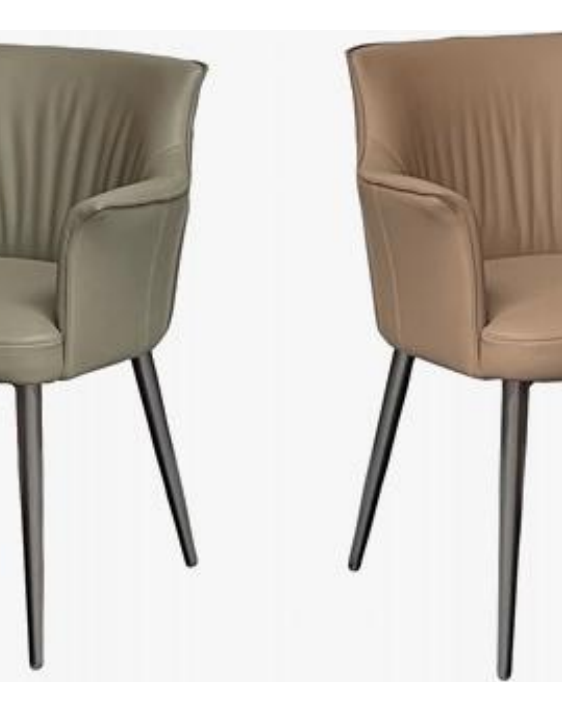 Leather-Accent Dining Chair product photo for FADIOR HOME shop