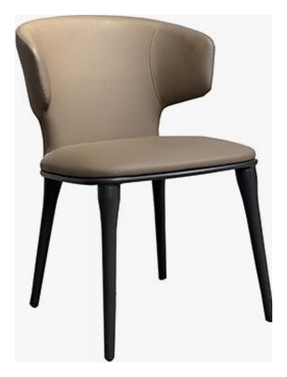 Dining Chair product photo for FADIOR HOME shop
