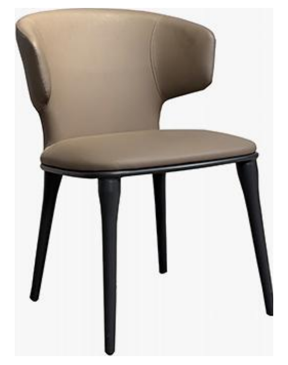 Dining Chair product photo for FADIOR HOME shop