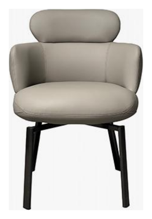Leather-Accent Dining Chair product photo for FADIOR HOME shop