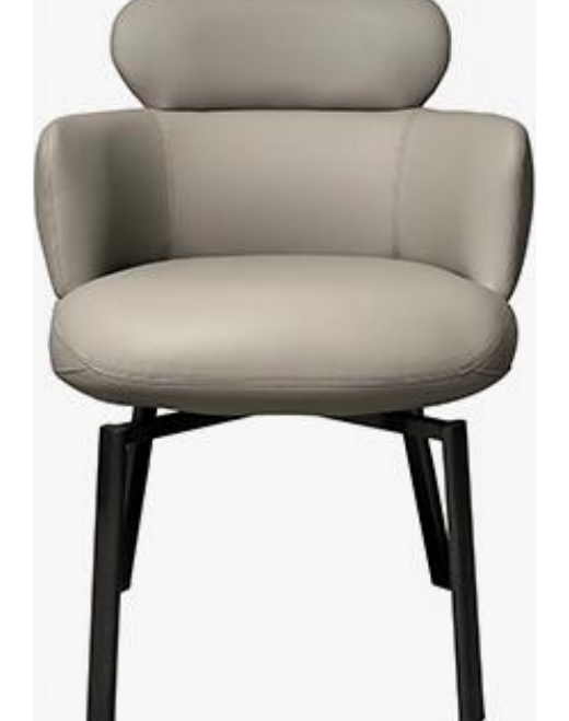Leather-Accent Dining Chair product photo for FADIOR HOME shop