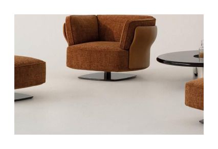 Lounge Chair product photo for FADIOR HOME shop