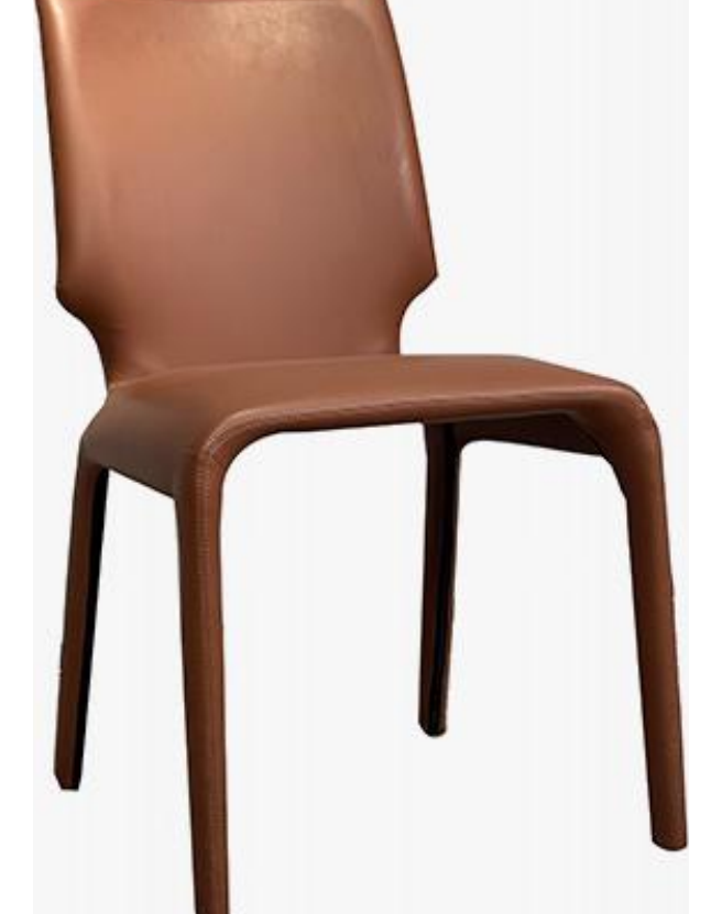 Dining Chair product photo for FADIOR HOME shop